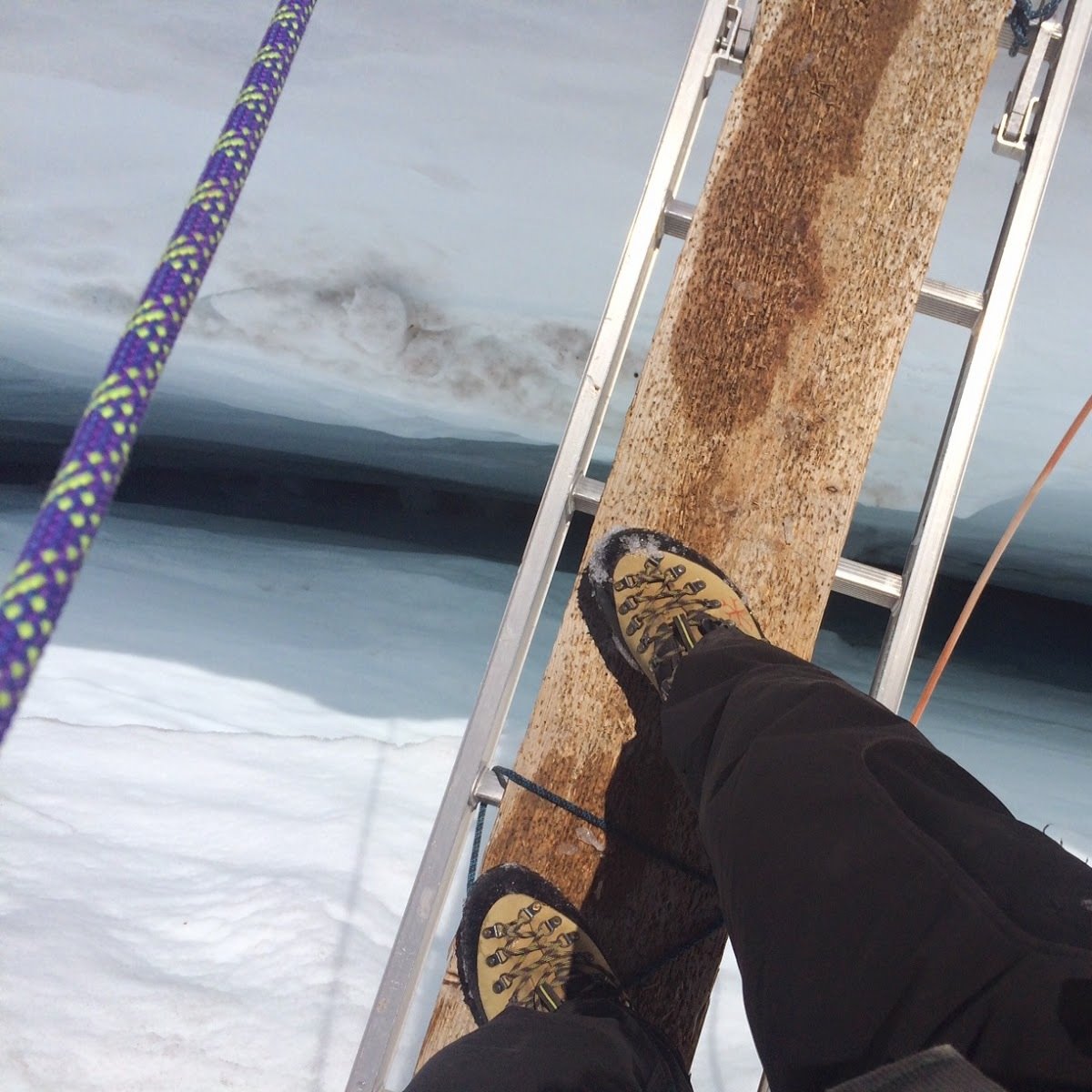 KRAUSHEAD's profile picture. 