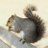 liviphyti1981's profile image