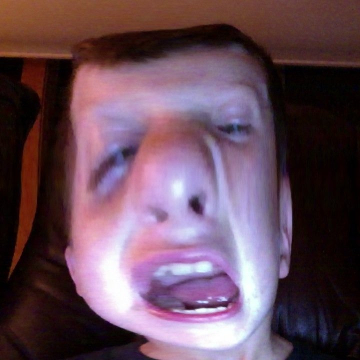 connie1312's profile picture. Love DJT Support LE Proud of our Military. Married and Grandmother of 6. Other account suspended @Connie48359391 ❤️🇺🇸🇺🇸🇺🇸 I follow patriots!