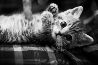 It's a bad day, not a bad life. ♥
Hi, I'm Christina. 16 years. And I love the food.