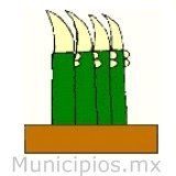 El municipio de Tula de Allende se localiza en el estado de Hidalgo en la región conocida del Valle del Mezquital.