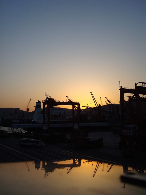 BingKollos's profile picture. 