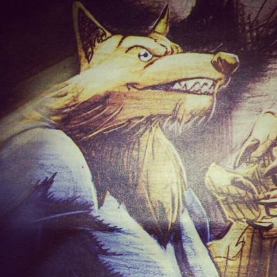 fox