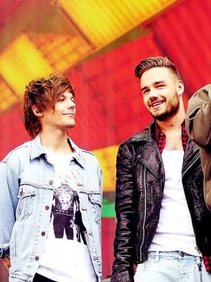Directioner, Belieber e Lovatic ❤❤