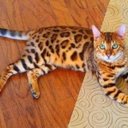 Nina perry - @perry_nina - Twitter