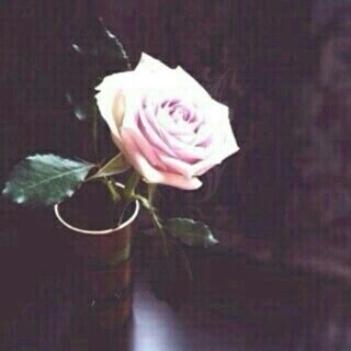 ‏‏..♡ ليس كل ما نحلم به سيتحقق.. لهذا نحتاج للقنآعة في أمورنا كلهاا،،،التي لانستطيع لها تبديل .... 
فالخيرة دائماً في ما اختاره اللَّه
خريجة أحياء دقيقة🔬⁦