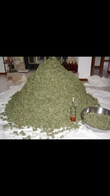 Smokin Token this shit is LOUD!