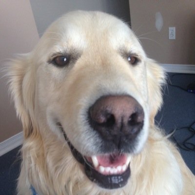 themancody's profile picture. 