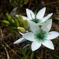 皆様のお料理などを見て、勉強させていただいてます(´▽｀)ツイートはしばらくお休みします✿