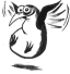 Software Engineer; kitesurfer; Linux and Java.