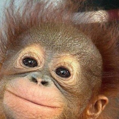 kleverfernan's profile picture. 