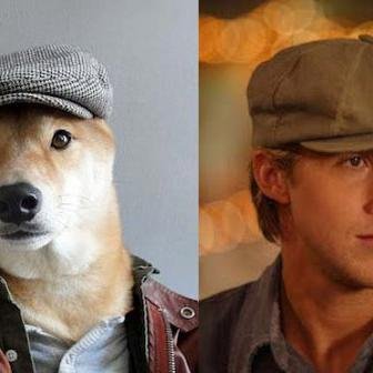 henfre_mirjeta's profile picture. Wannabe social media maven