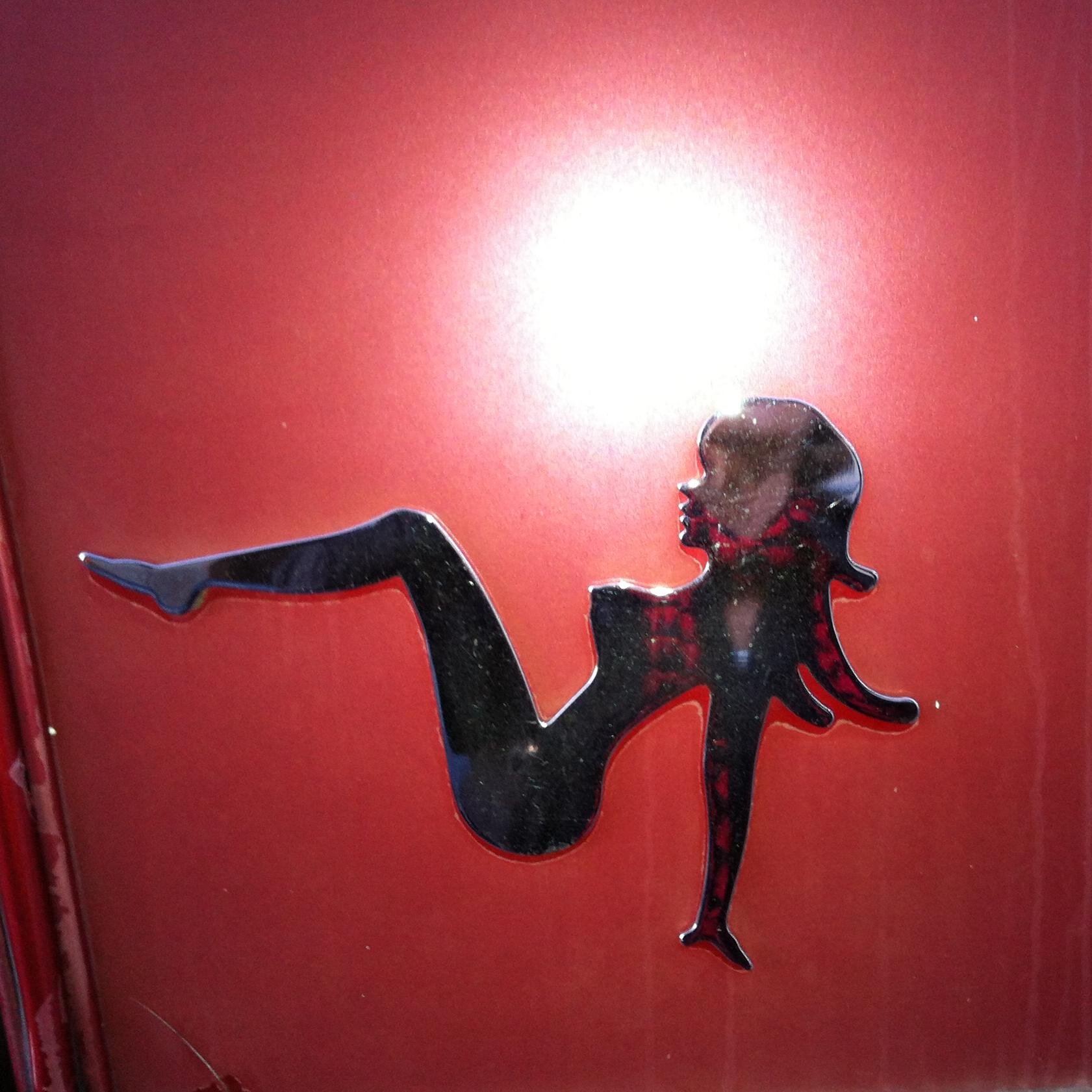 withqualms's profile picture. 