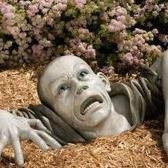 SwarajLegon's profile picture. Avid travel specialist