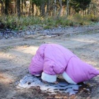 wizajeditajy's profile picture. Hardcore pop culture aficionado