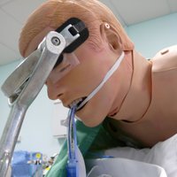 Newcastle Simulation (@newcastlesim) 's Twitter Profile