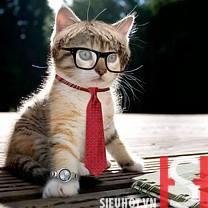 akira101102nv's profile picture. 