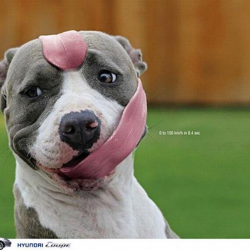 Hey! Wanna hear funny internet stories everyday? please visit my website. Thank you!