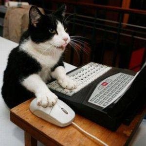Hello there! I tweet fun news for you! Please visit my website for more stuff. Thank you!