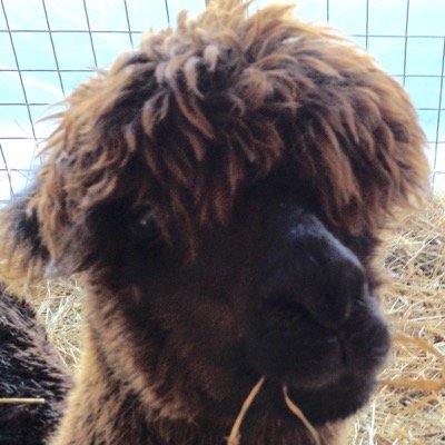 TPS Report 🇺🇸 on Twitter: "my nephew turned 21 today!…
