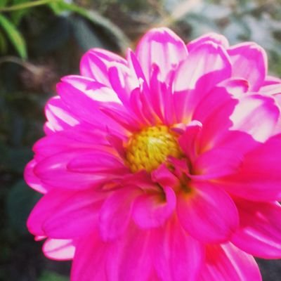 RoxanneJunor's profile picture. 