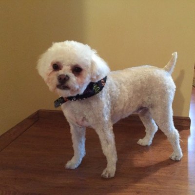 btierneyusa's profile picture. 