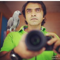 Gorky M (@gorkymax) 's Twitter Profile