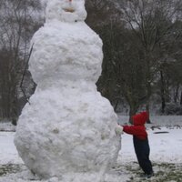Jim (@junglejimk) 's Twitter Profile