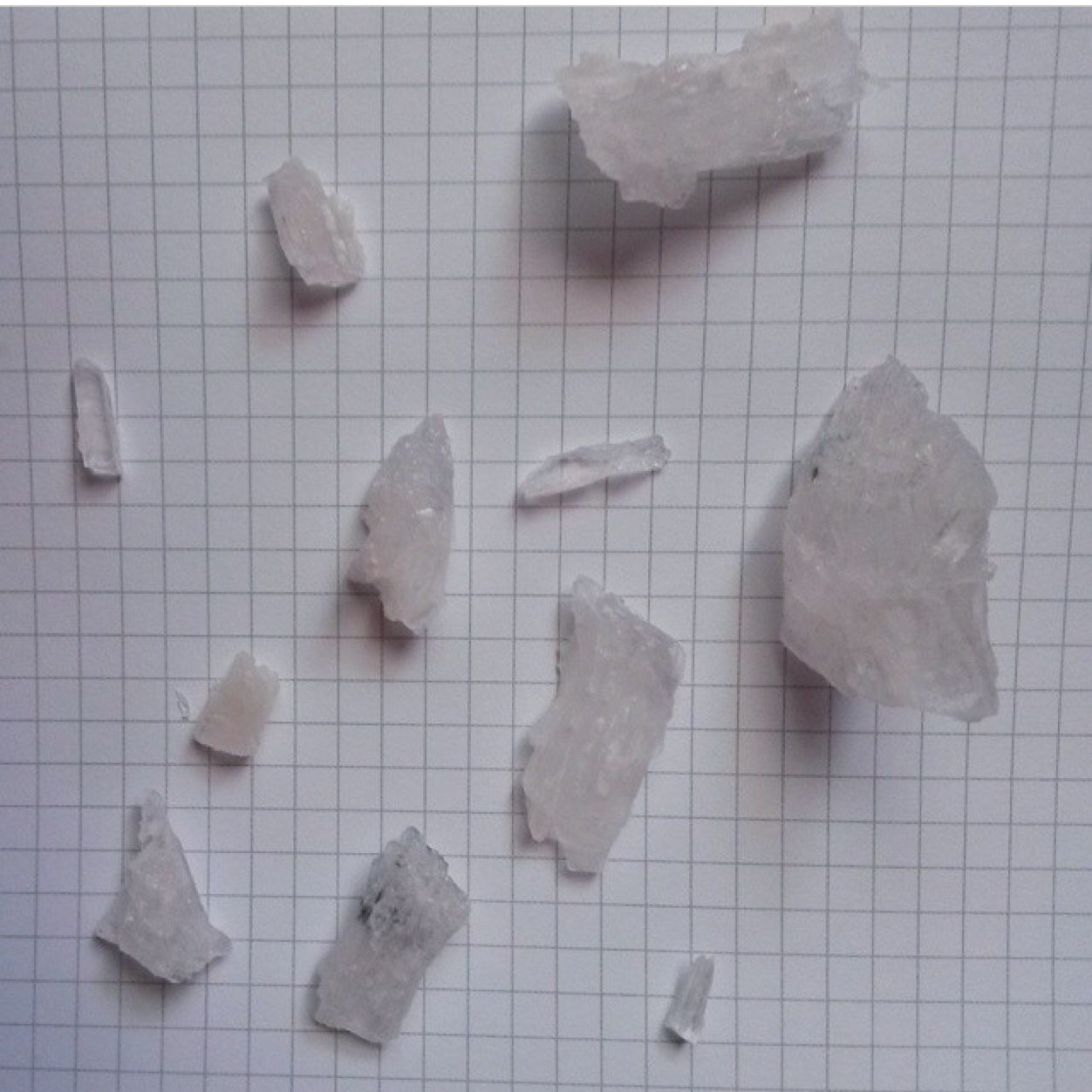 r4dalien's profile picture. suck my ass