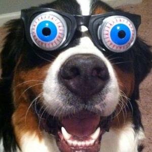 Hello there! I tweet fun news for you! Please visit my website for more stuff. Thank you!