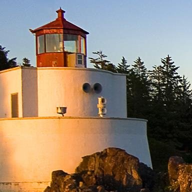 drop_kick_KKRZ's profile picture. ぴえ