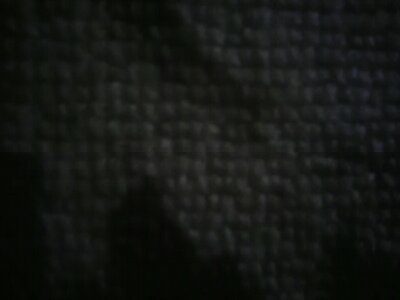 partiza11878587's profile picture. 