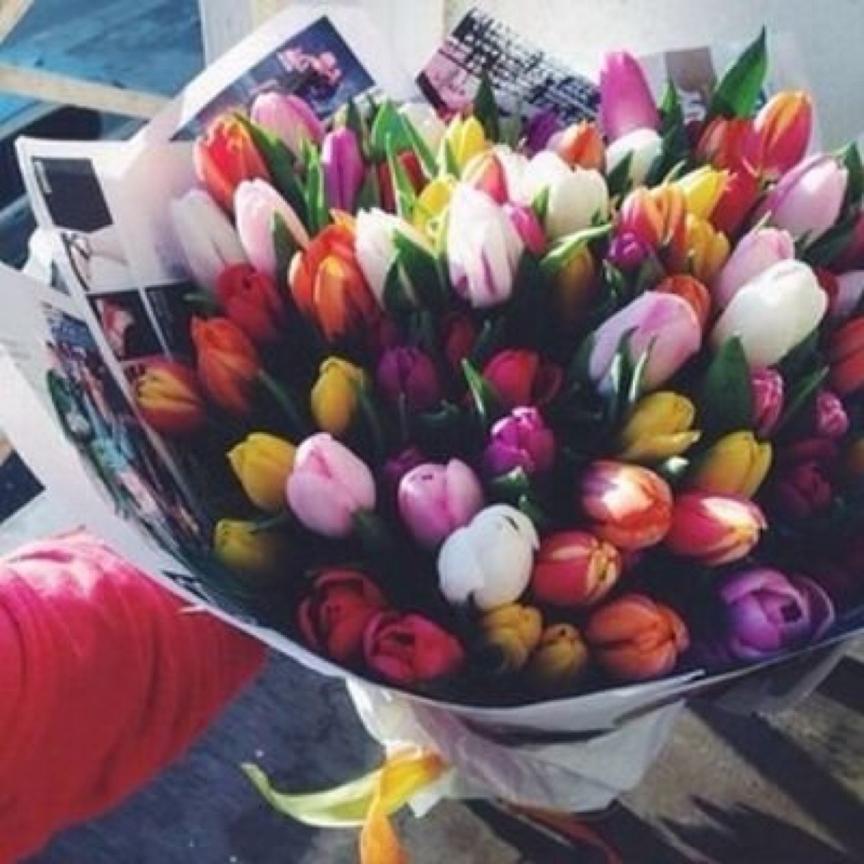 Keemee090Gmai's profile picture. العام ندعي عسى الله لا يفرقنا
واليوم ندعي عسانا نلتقي صدفه !