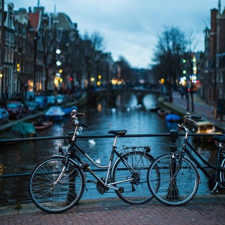 LaurenHom22's profile picture. 