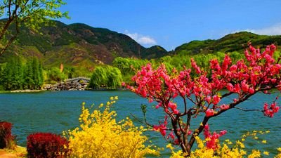kashmir92pk's profile picture. KASHMIR BANAY GA PAKISTAN.INSHA ALLAH.