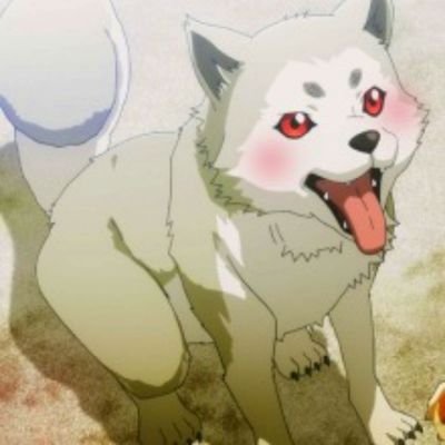 コロマル Koromaru2979 Twitter