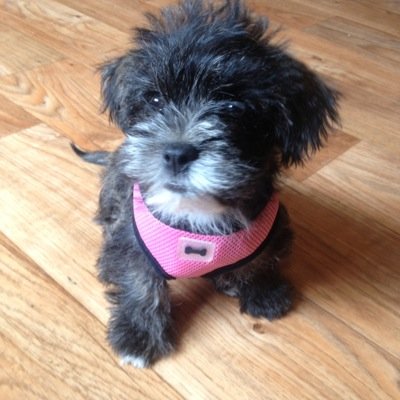 shirls2957's profile picture. 