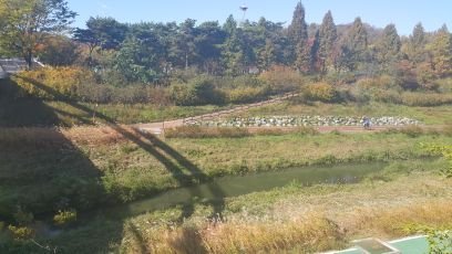비상사태