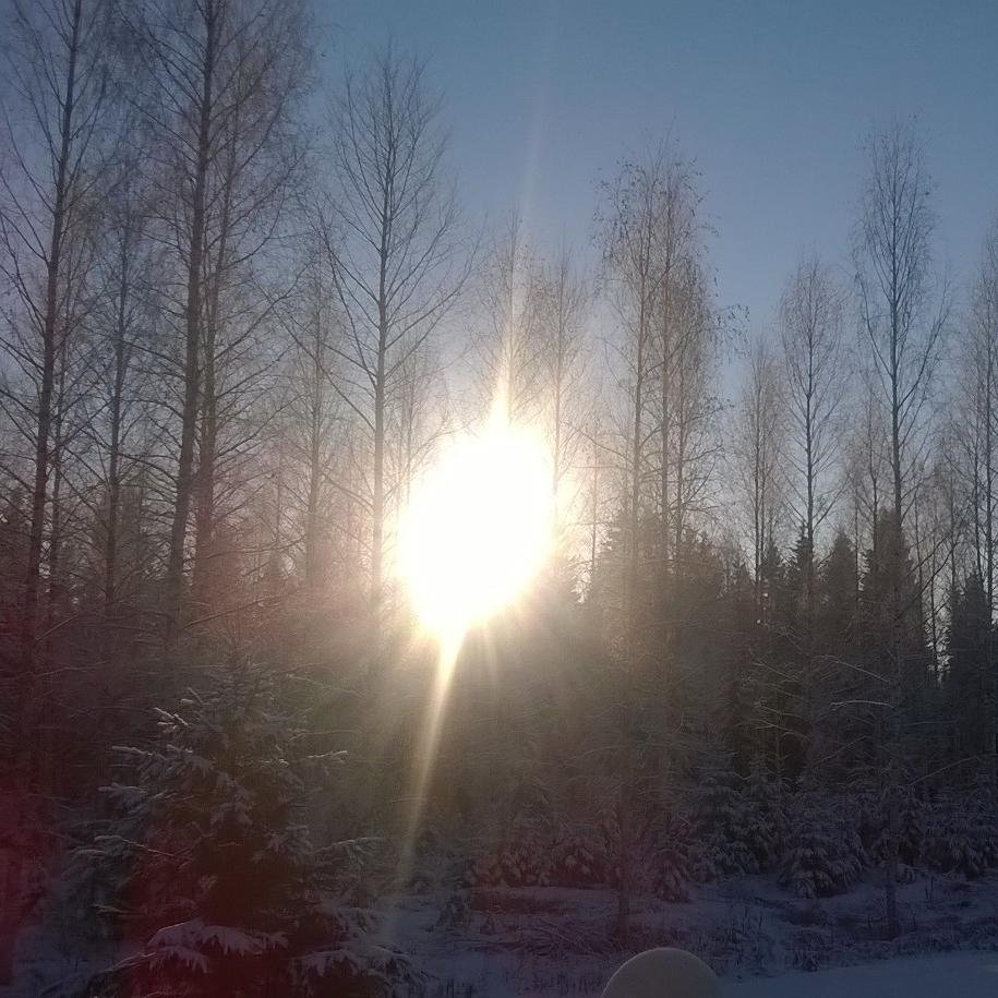 337Tara's profile picture. Elämästä nauttiva mummo peräkyliltä