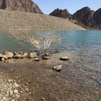 أبو حمدان (@ali_sultan8) 's Twitter Profile