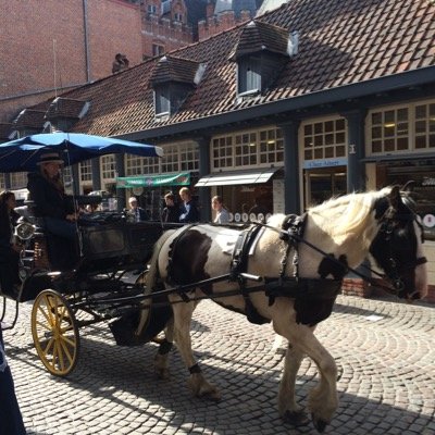 tswm22's profile picture. 旅好き 写真見るの好き
カナダ オーストラリア グアム サイパン