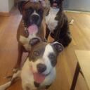 Kim Conboy - @KimmyConboy - Twitter