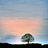photolandscape1's profile image