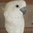 munchan06's profile image