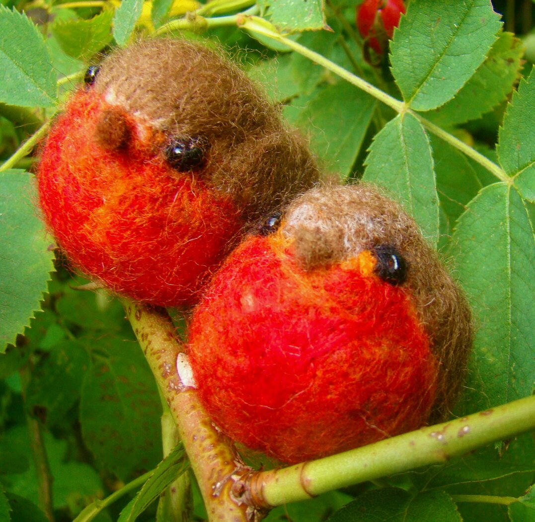 Pretty stuff for your home and garden....come and see our etsy page (noblebirds)