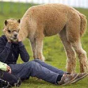 Hi, I tweet funny news everyday. If you wanna read more please visit my website. Thanks!