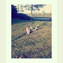 Manon Janssen - @manonnieeexx_ - Twitter