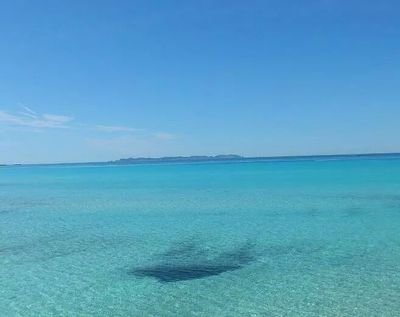 Platja per excelencia en Mallorca. Playa por excelencia en Mallorca