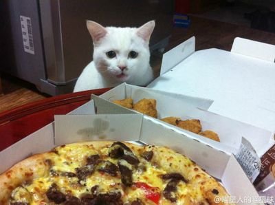 Keeping curiousity