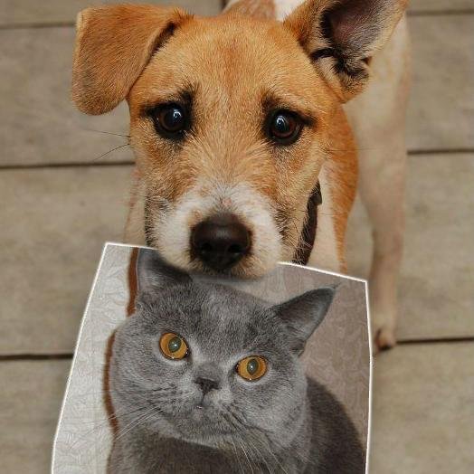 karina81k's profile picture. 